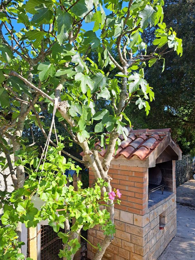Apartman Melita Galizana Екстер'єр фото