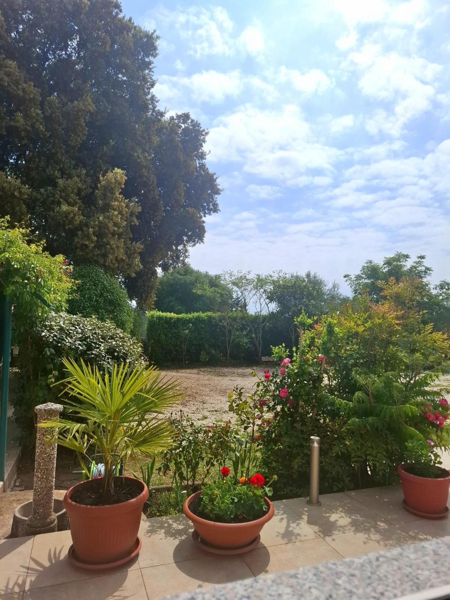 Apartman Melita Galizana Екстер'єр фото